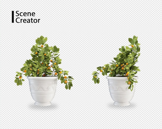 Plant 3d-rendering