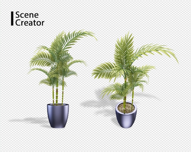 PSD plant 3d rendering