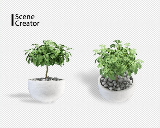 Plant 3d-rendering