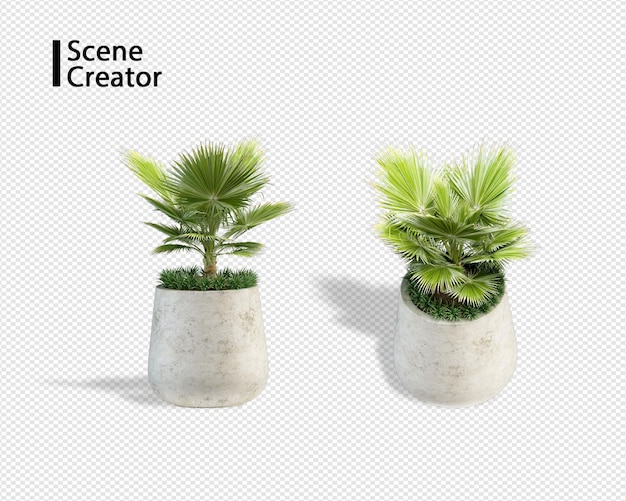 Plant 3d-rendering
