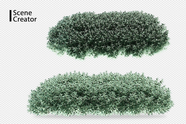 Plant 3d rendering