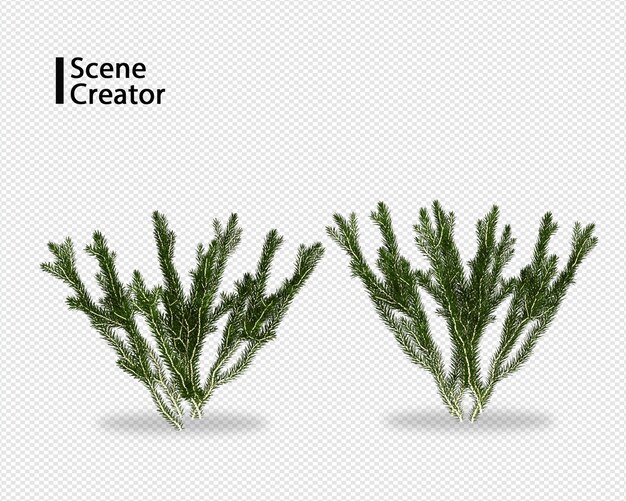 Plant 3D-rendering