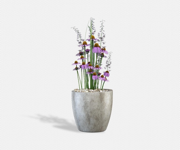 PSD plant 3d rendering