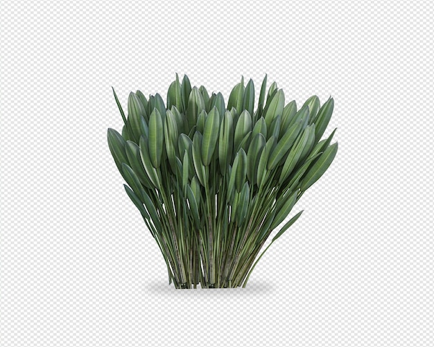 Plant 3d-rendering