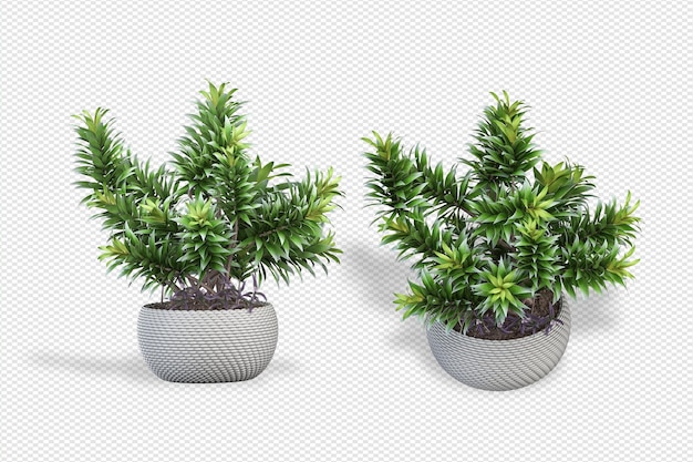 Plant 3D-rendering