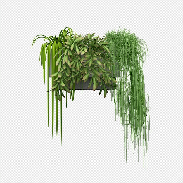 PSD plant 3d rendering