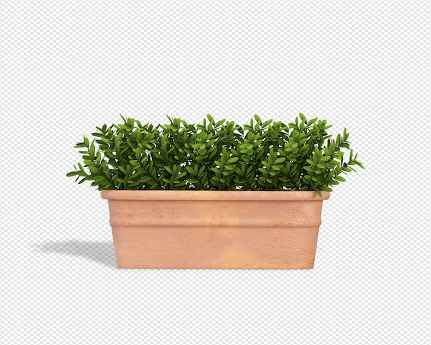 PSD plant 3d rendering