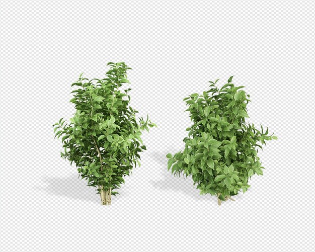 Plant 3d-rendering