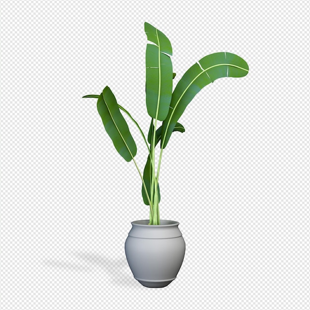 Plant 3d-rendering