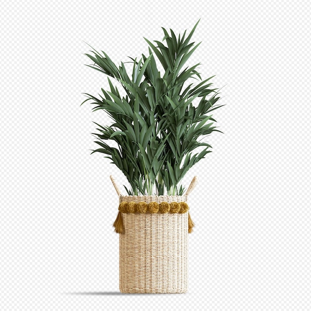 Plant in basket in 3d rendering