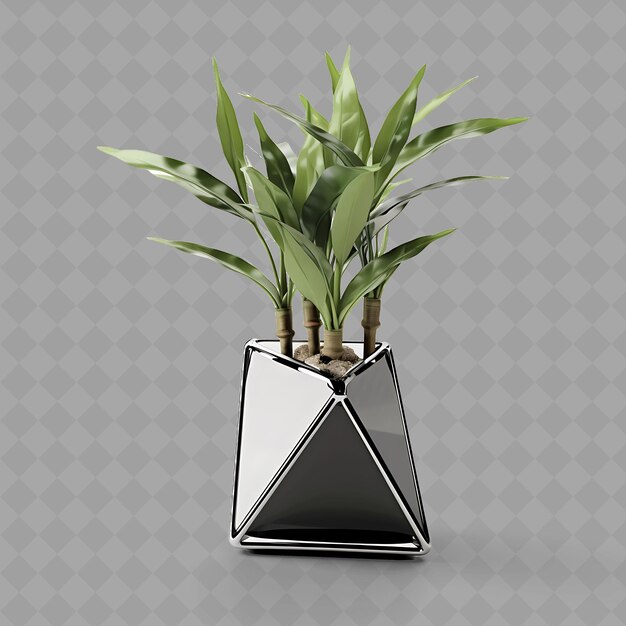 PSD a plant in a black pot with a black triangle on the top