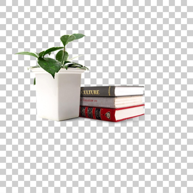 Plant and Books on Desk