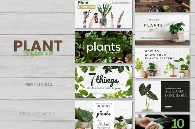 PSD plant care template psd set