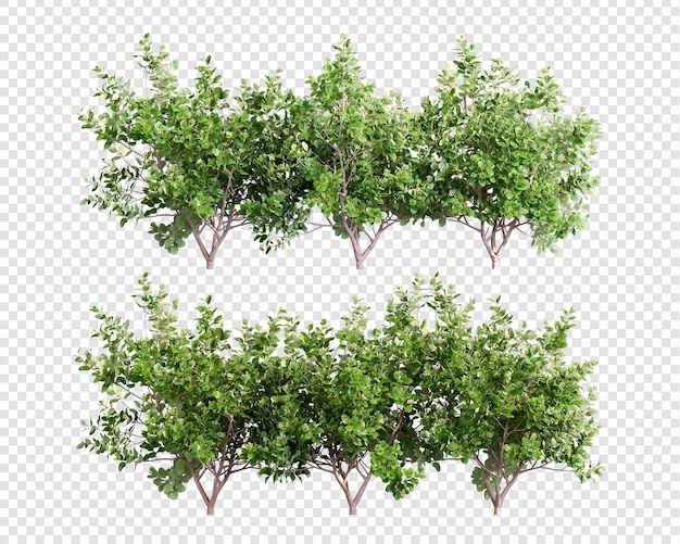 Plant en struiken in 3d-rendering geïsoleerd