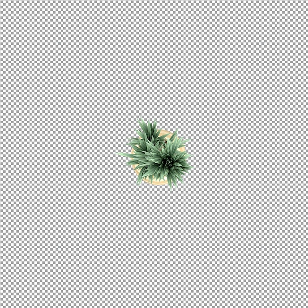 Plant geïsoleerd in 3d-rendering