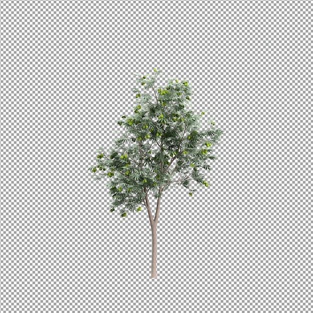Plant geïsoleerd in 3d-rendering