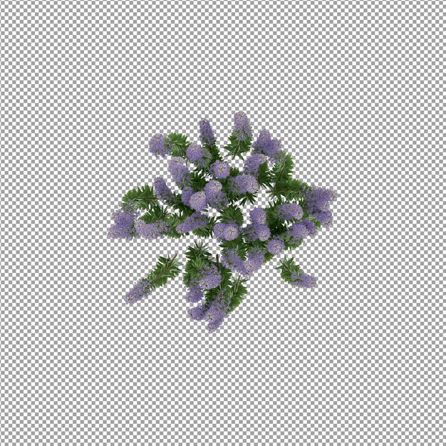 Plant geïsoleerd in 3d-rendering