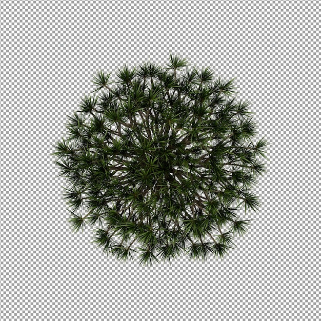 Plant geïsoleerd in 3D-rendering