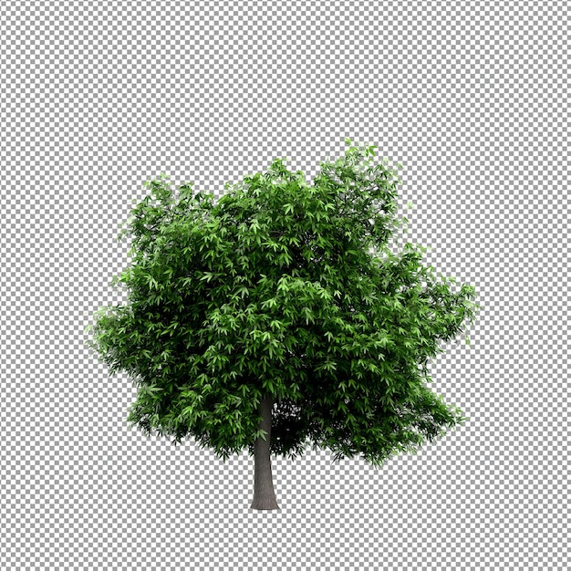 Plant geïsoleerd in 3d-rendering