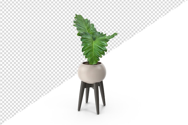 PSD plant geïsoleerd