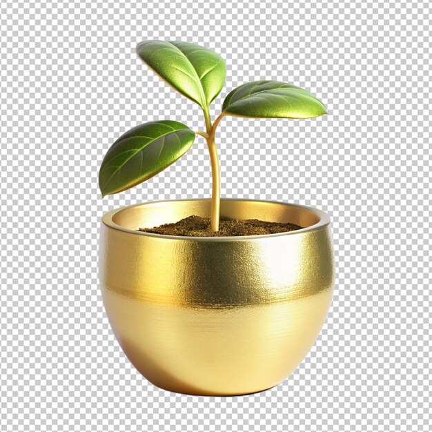 PSD plant on golden pot on transparent background