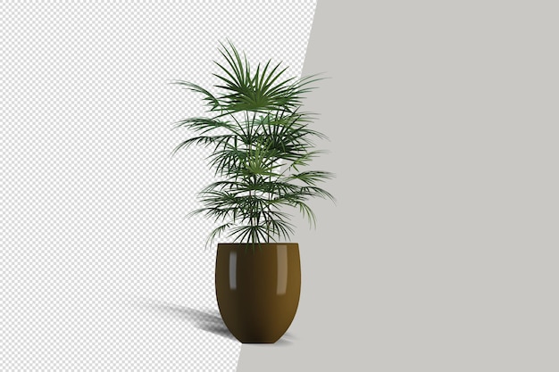 Plant in 3D-rendering geïsoleerd