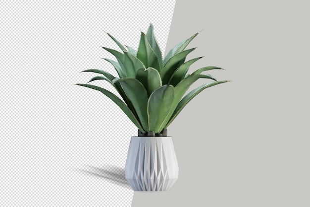 Plant in 3d-rendering geïsoleerd