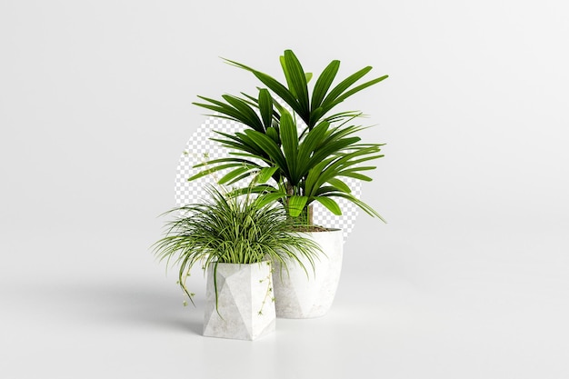 PSD 分離された3dレンダリングの植物