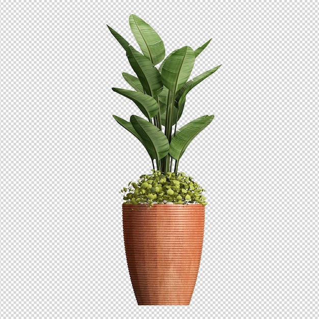 PSD 分離された3dレンダリングの植物