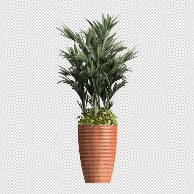 分離された3dレンダリングの植物