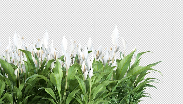 PSD 分離された3dレンダリングの植物