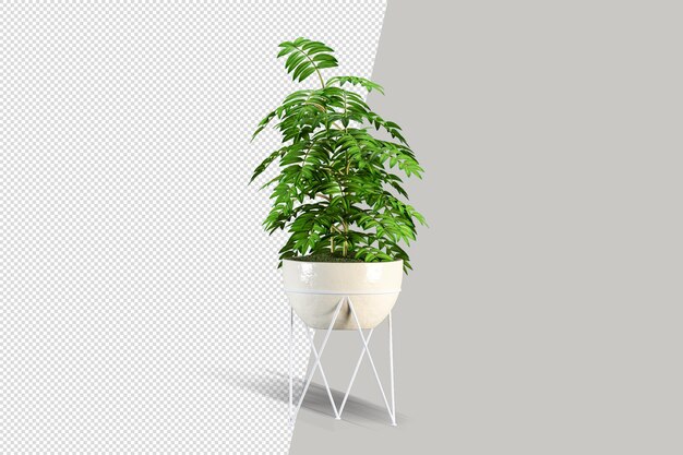 3dレンダリングで植える