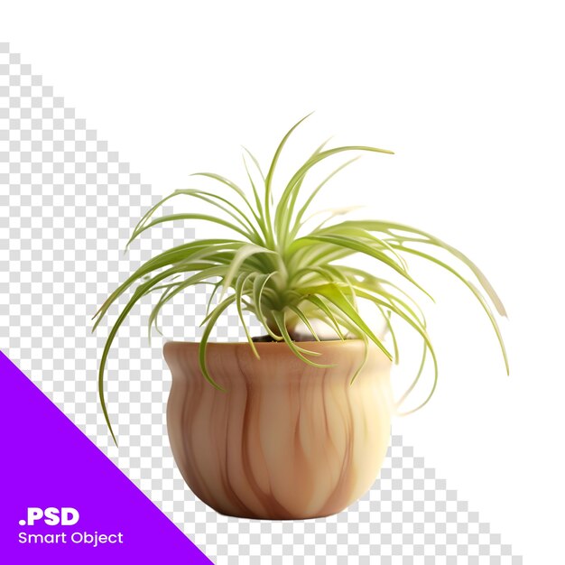 PSD plant in een pot geïsoleerd op witte achtergrond 3d rendering psd sjabloon