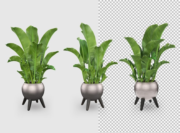 植木鉢の3dレンダリング装飾デザイン