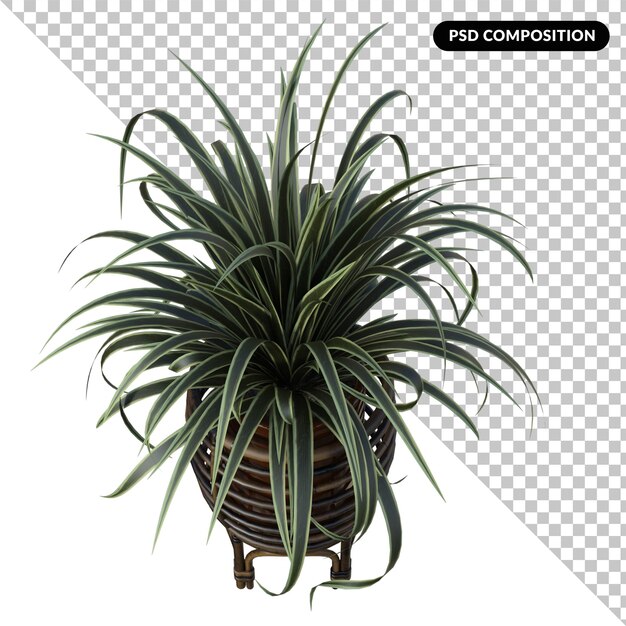 PSD plant in pot geïsoleerd 3d