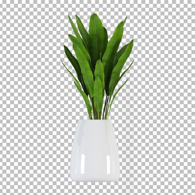 PSD plant in pot in 3d-rendering geïsoleerd