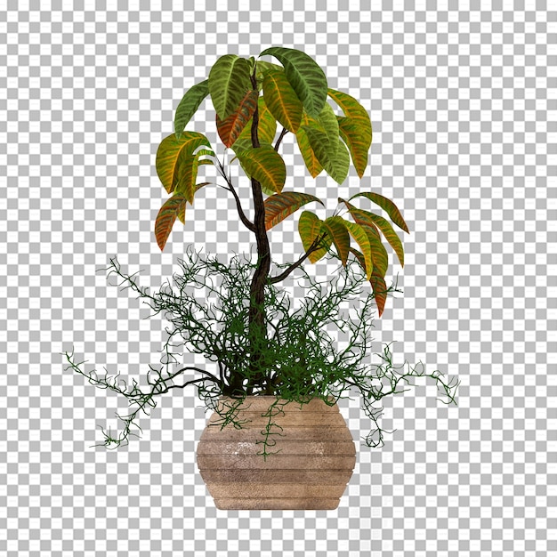 PSD plant in pot in 3d-rendering geïsoleerd