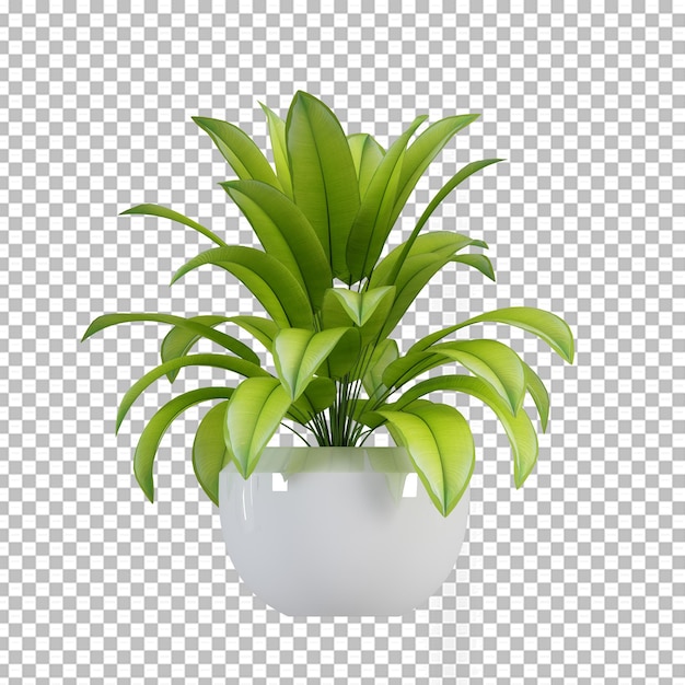 Plant in pot in 3d-rendering geïsoleerd