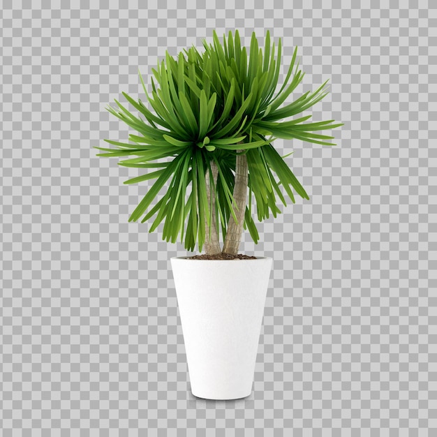 PSD 分離された3dレンダリングでポットに植える