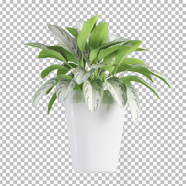 分離された3dレンダリングでポットに植える