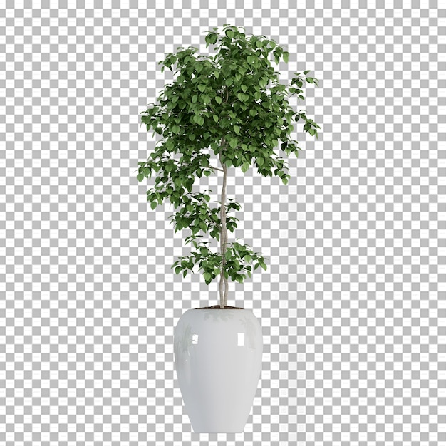 PSD 分離された3dレンダリングでポットに植える