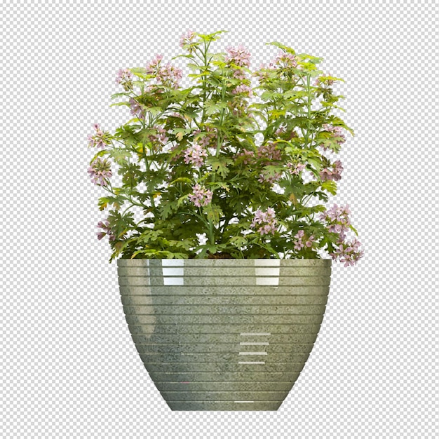 Plant in pot in 3d-rendering isometrisch