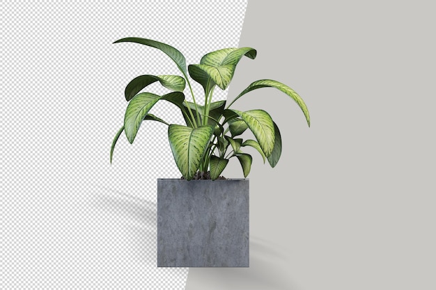 PSD plant in pot in 3d-rendering
