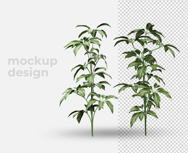 Plant in potdecoratie 3d-ontwerp