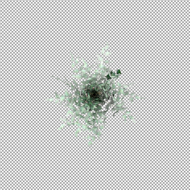 3 d レンダリングで分離された植物