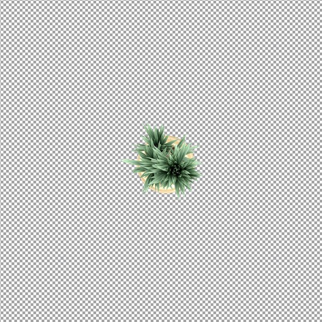 Plant isolated in 3d rendering