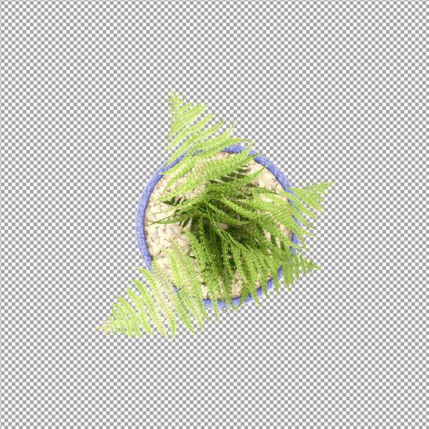 Plant isolated in 3d rendering