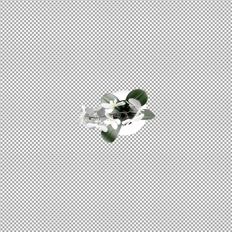 PSD plant isolated in 3d rendering