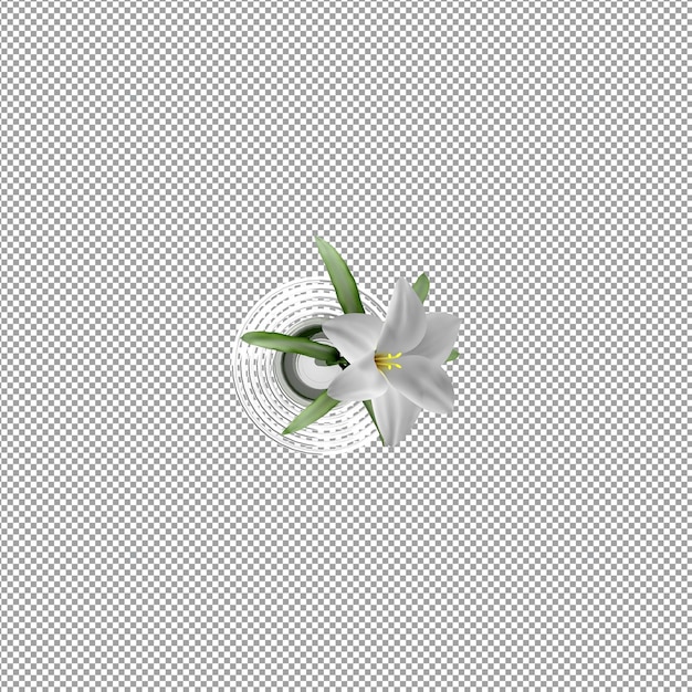 Plant isolated in 3d rendering