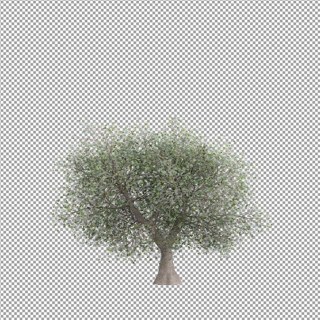 Plant isolated in 3d rendering